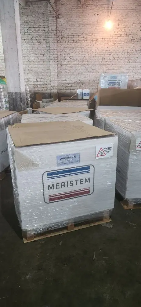 ��������� Meristem �� ������